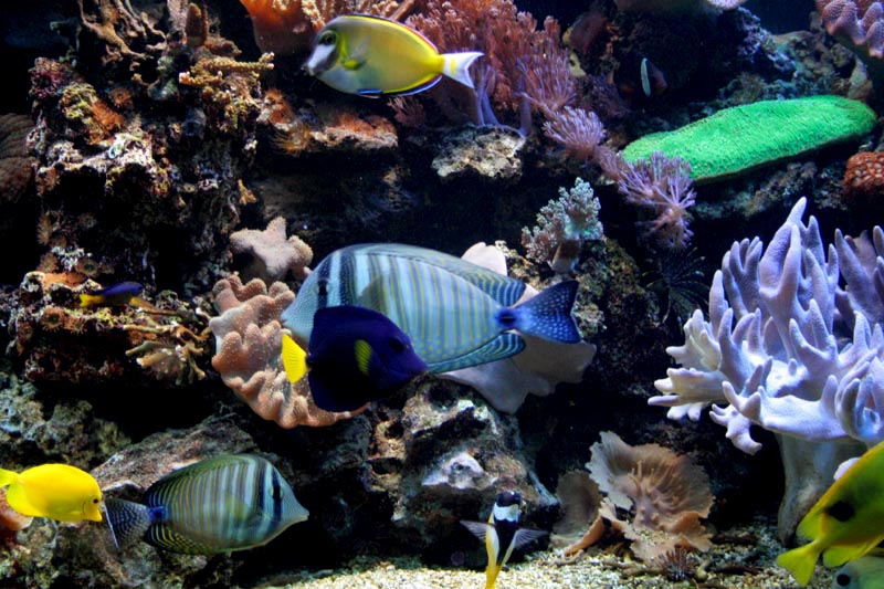 Killikus&reg; Fotographie